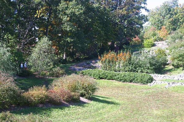 Arboretum 2