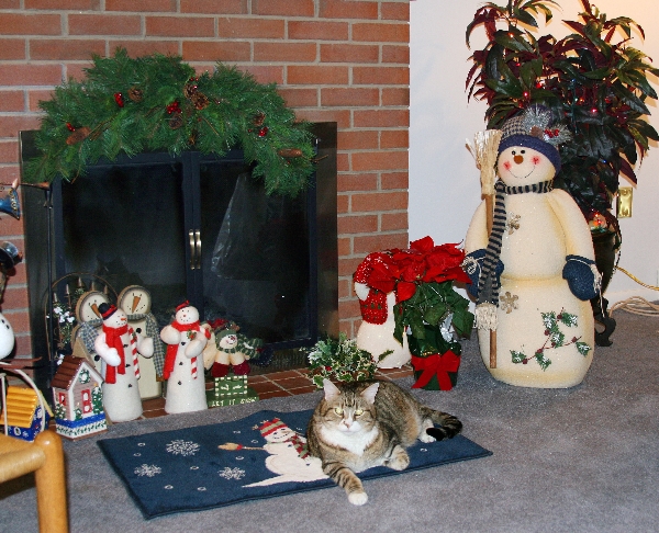 Snowmen and Guard Cat