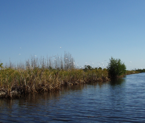 Bob's Nature Preserve