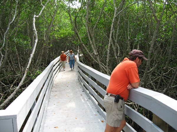 Walking the Boardwalk