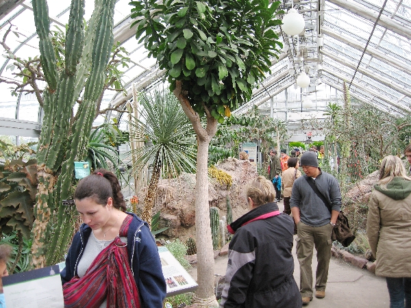 Botanical Gardens 1