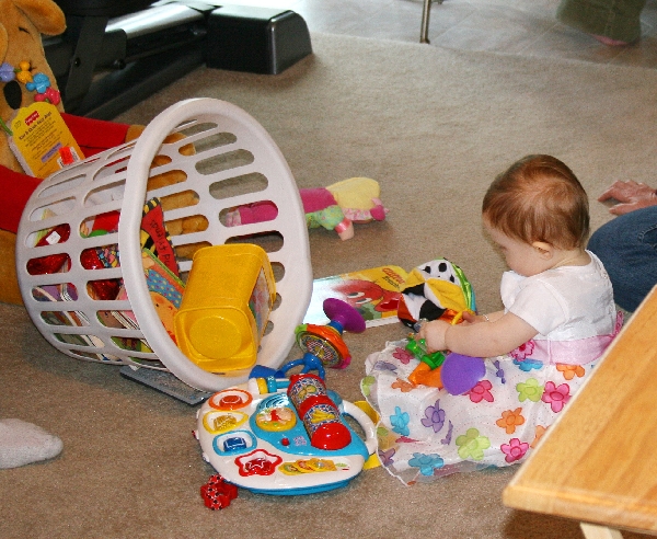 Basket of Toys