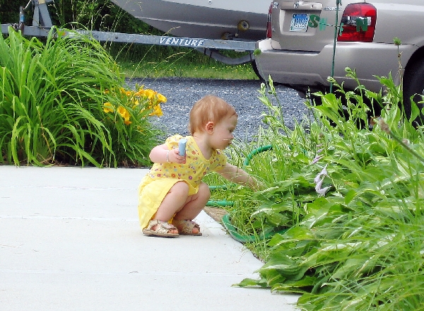 Searching the Weeds