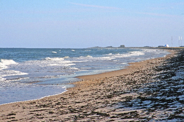 Canaveral National Seashore 2