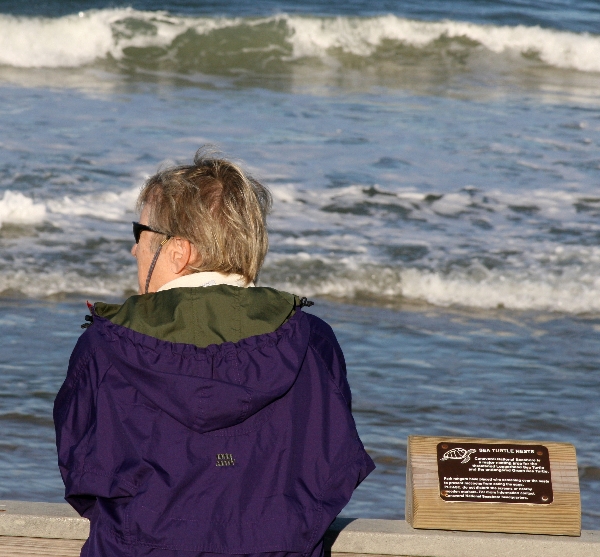 Canaveral National Seashore