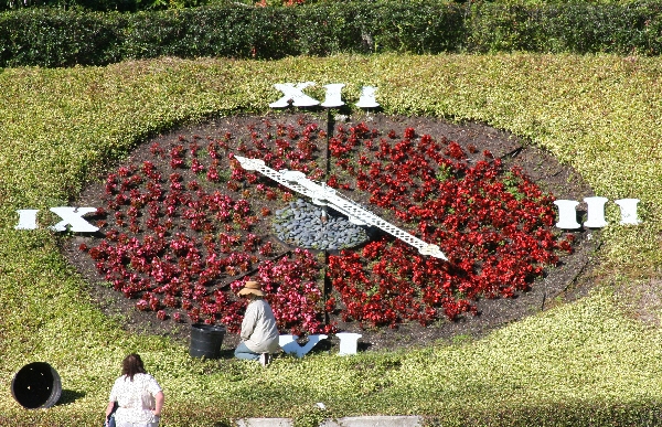 Flower Clock where Laura and Adam got engaged