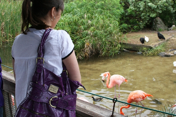 Meg feeds the birds