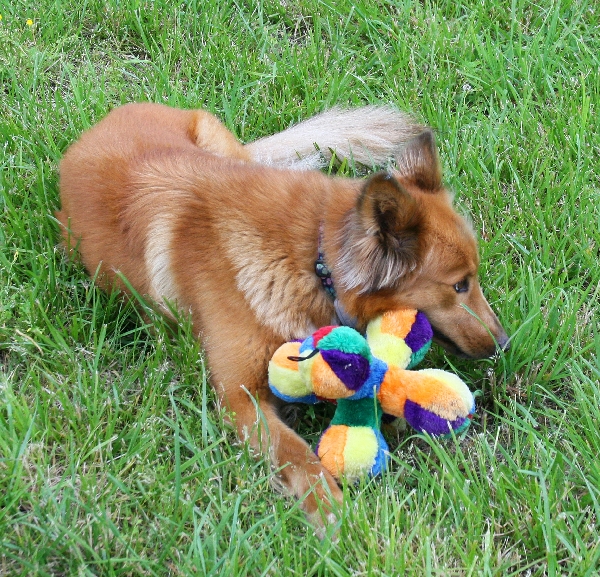 Sophie and Toy