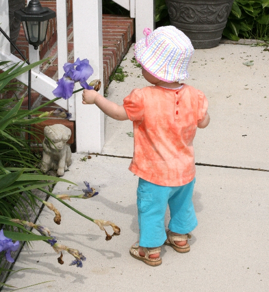 Touching the Flower