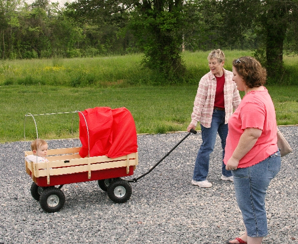 Wagon Train