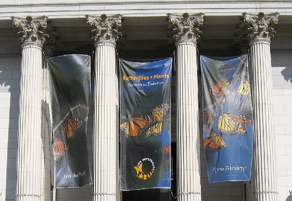 Butterfly Banners