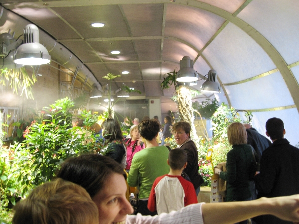 Entering the Butterfly Tunnel