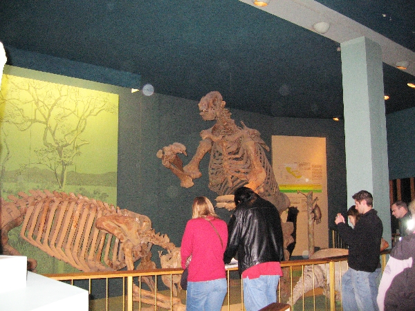 Giant Mammals