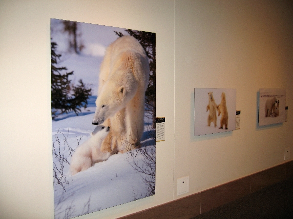 Nature Photography Exhibit