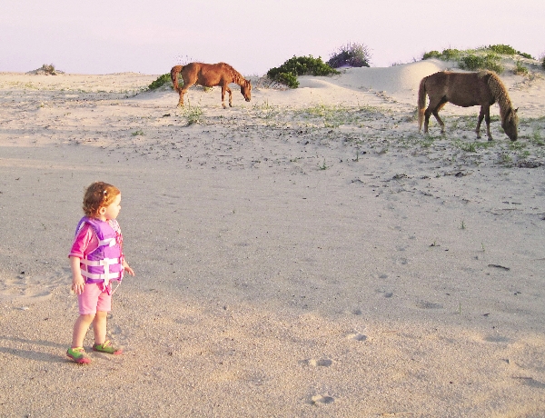 Amber and the Ponies