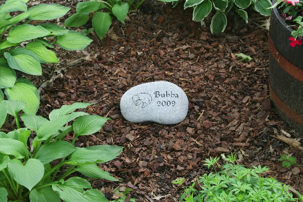 Bubba's Stone 1