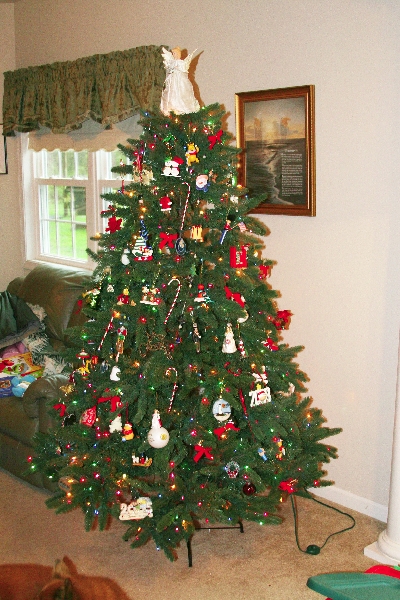 Dan and Kim's Christmas Tree