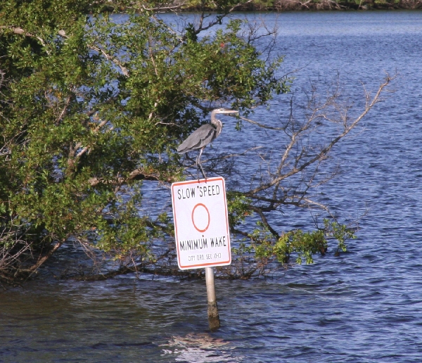 Heron on a sign