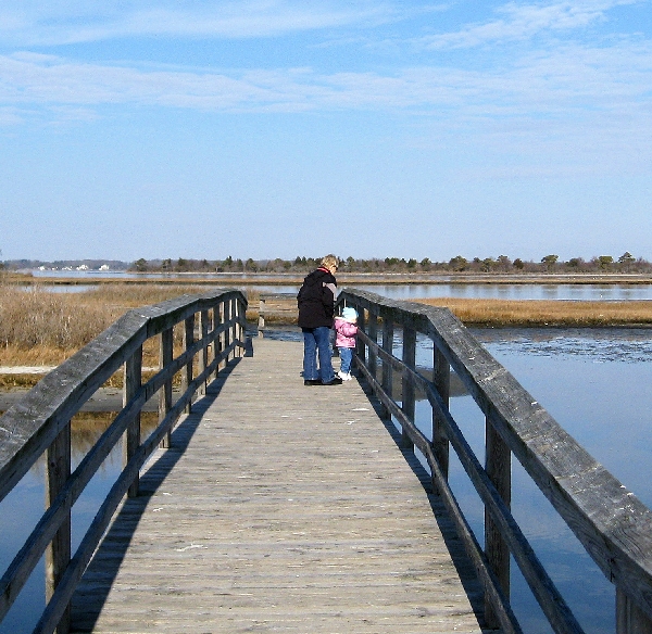 Bridge Crossing