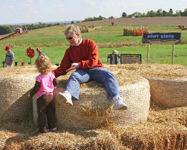 Hay Mountain 1