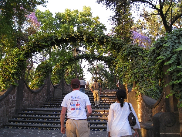 Walking up the steps to the vision site