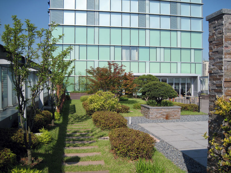 Roof Top Garden 2