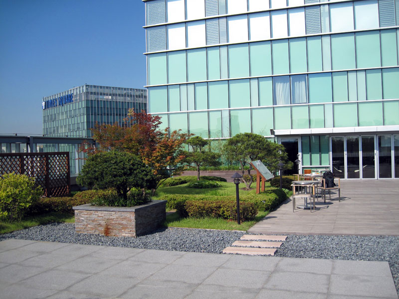 Roof Top Garden