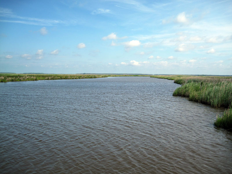 Looking down Island Creek