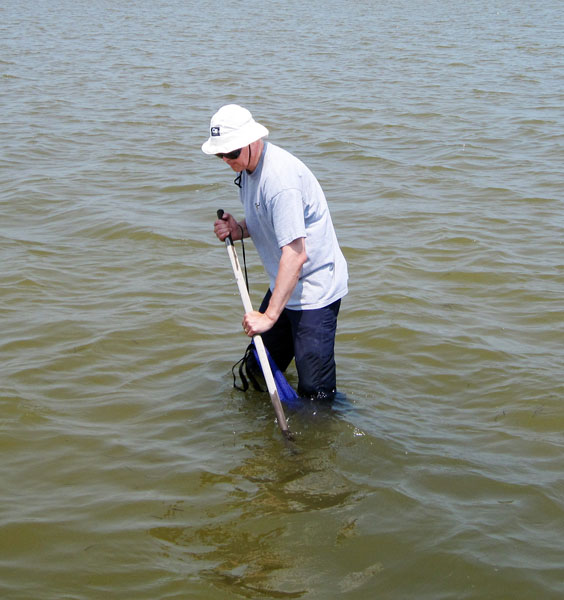 Raking for Clams