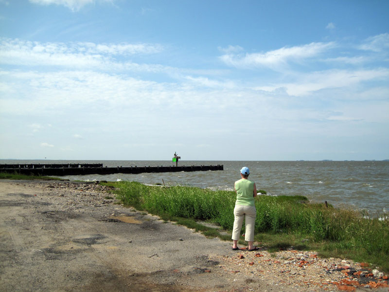 The Wharf at Elliot's Island