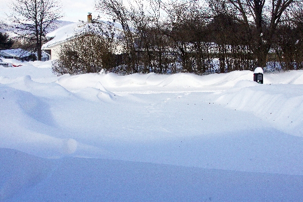 Drifts in the Driveway