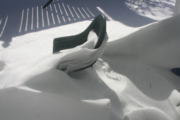 Drifts on the Back Porch