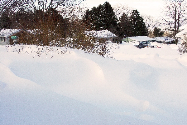 Front Yard