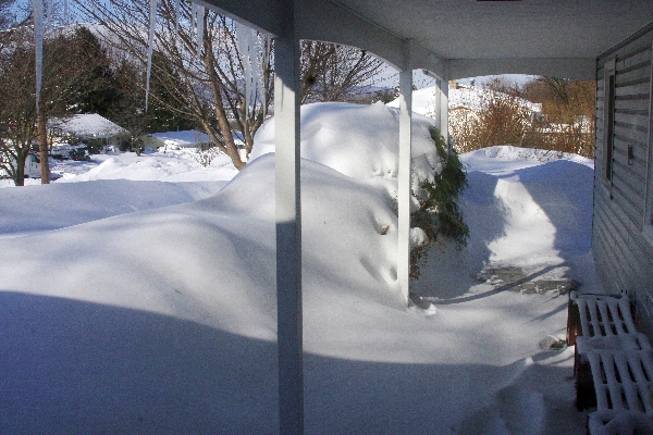 View from the front porch