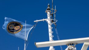 Delaware Flag flaps in the wind