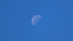 Daylight Moon